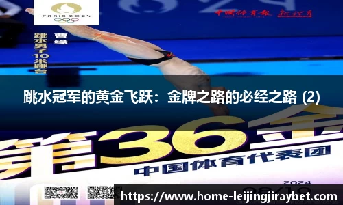 跳水冠军的黄金飞跃：金牌之路的必经之路 (2)
